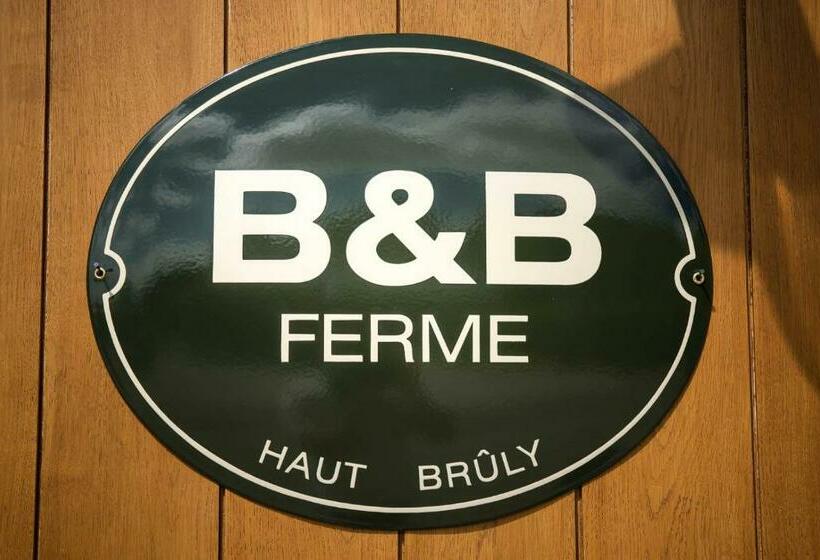 B&b Haut Brûly