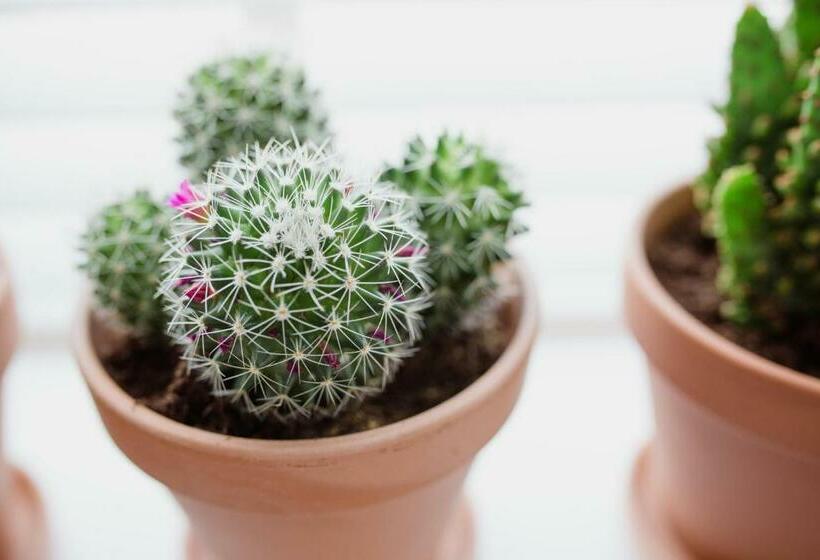 住宿加早餐 Studio De Bilt