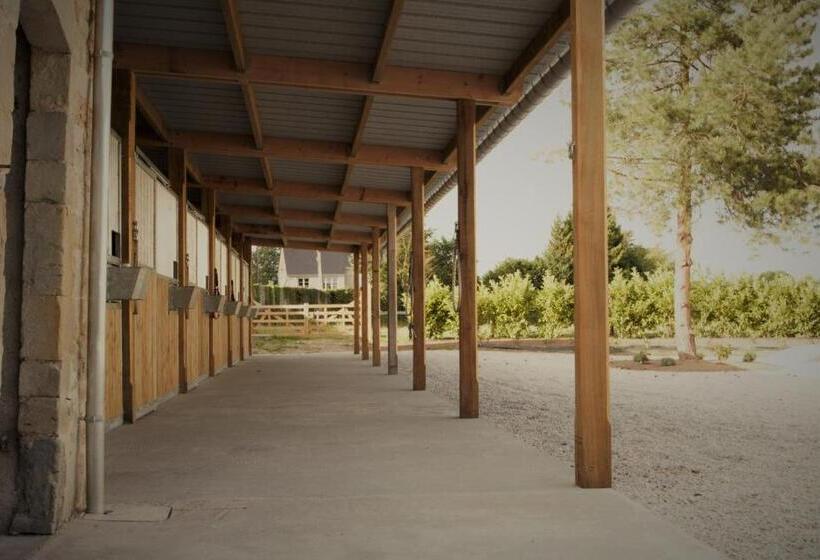 مبيت وإفطار Angoville44