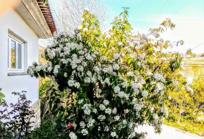 مبيت وإفطار Casa Vale Do Rio Ovil