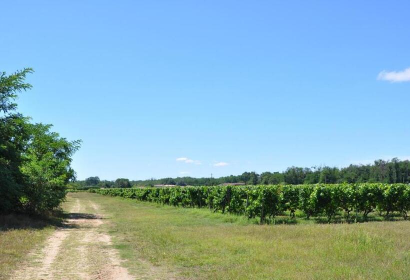 צימר Chambre D Hôtes Sauternais