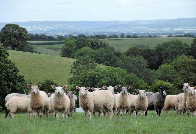 مبيت وإفطار Deepaller Farm