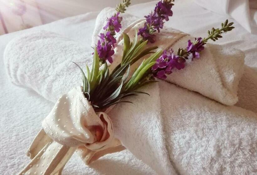 Bed And Breakfast Elettra