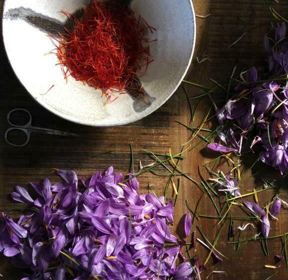 민박 Ferme De Roccapina