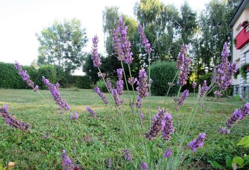 تختخواب و صبحانه Pod Orehi