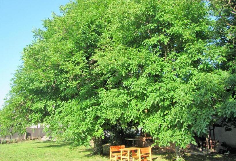 تختخواب و صبحانه Pod Orehi