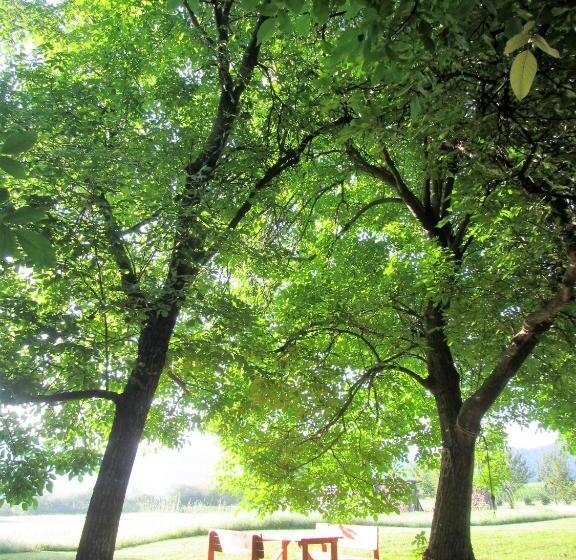 تختخواب و صبحانه Pod Orehi