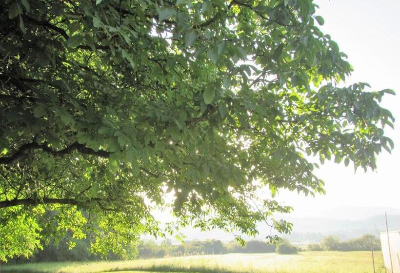 تختخواب و صبحانه Pod Orehi