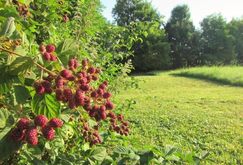 تختخواب و صبحانه Pod Orehi