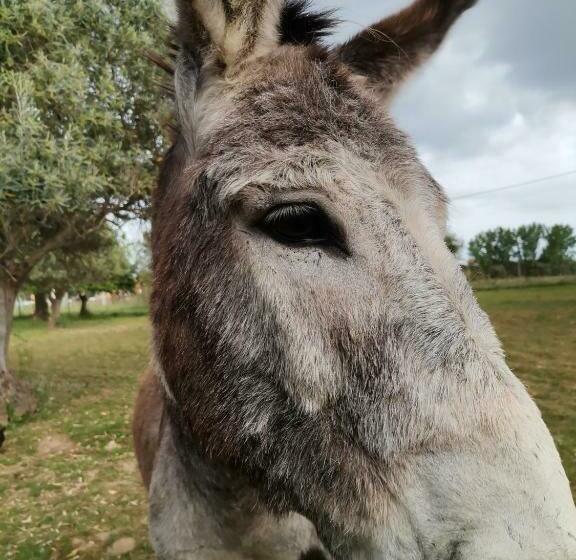 Bed and Breakfast Quinta Do Freixo