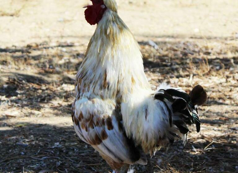 Bed and Breakfast Quinta Do Freixo