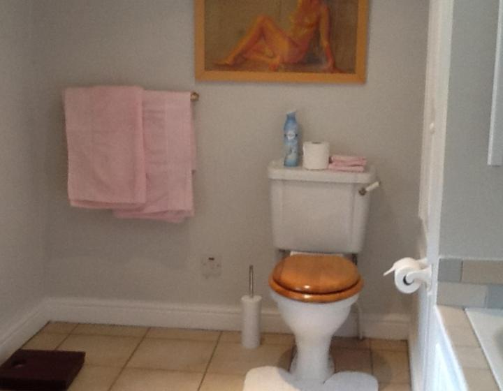 مبيت وإفطار Swan Cottage