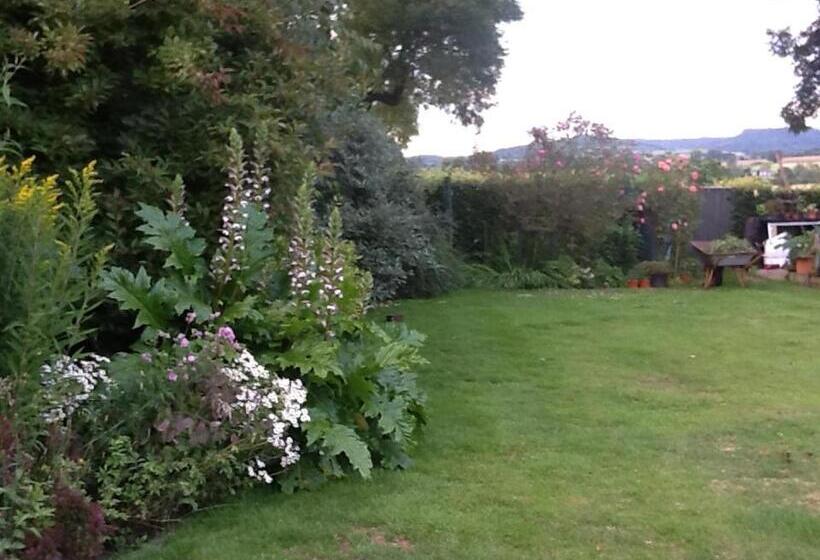 Bed and Breakfast Swan Cottage