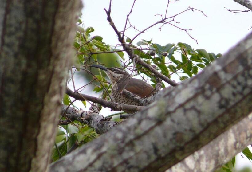 Cedarview Bed & Breakfast