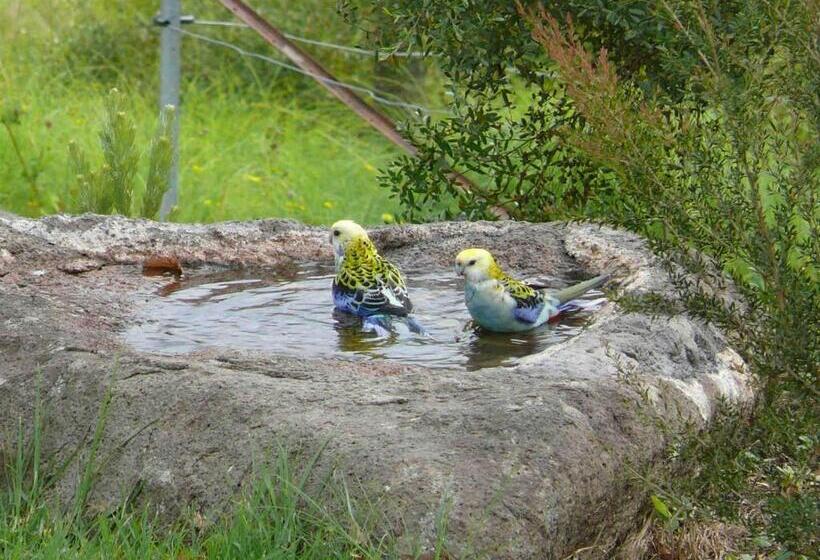 Cedarview Bed & Breakfast