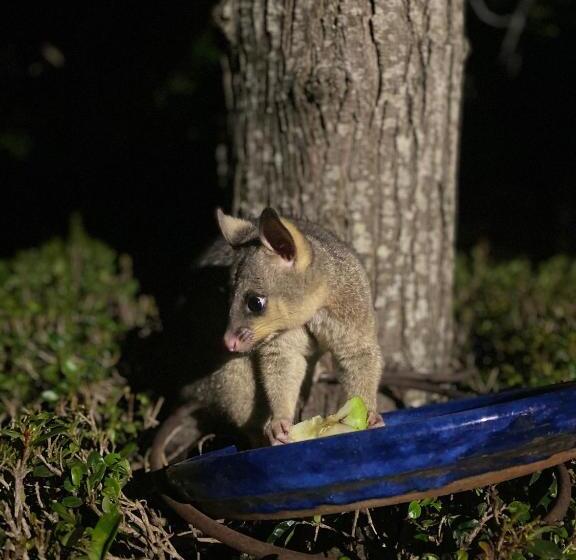 Cedarview Bed & Breakfast