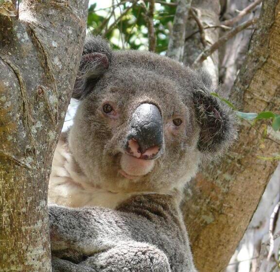 Cedarview Bed & Breakfast