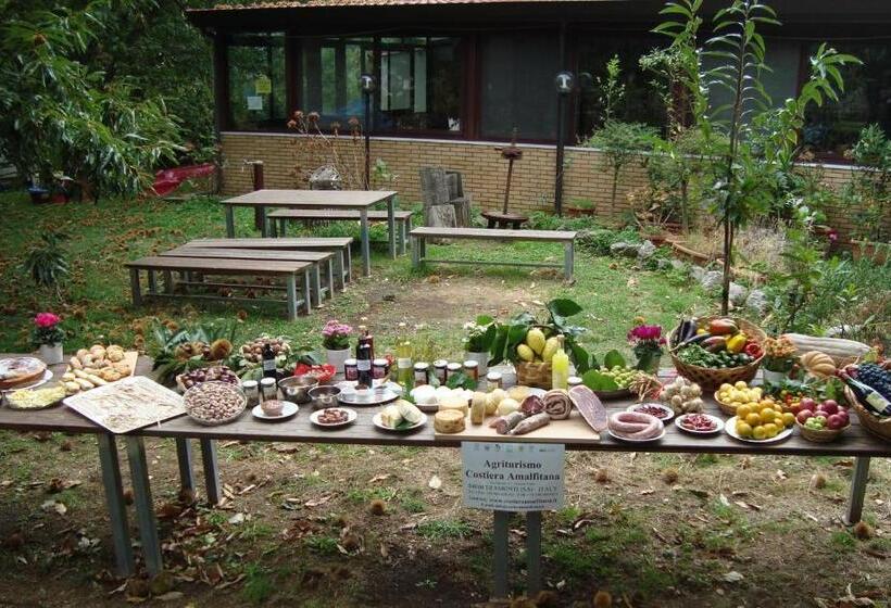 ホテル Agriturismo Costiera Amalfitana