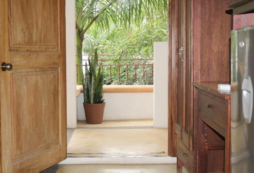 فندق Casa Bugambilias