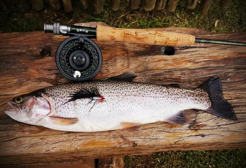 בית מלון כפרי Copperleigh Trout Cottages