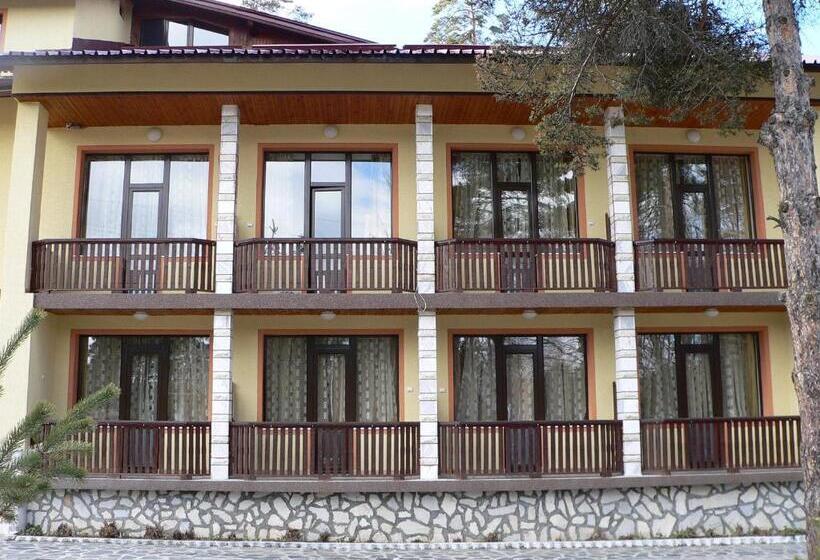 Отель Daf Trans