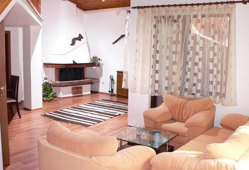 Отель Daf Trans