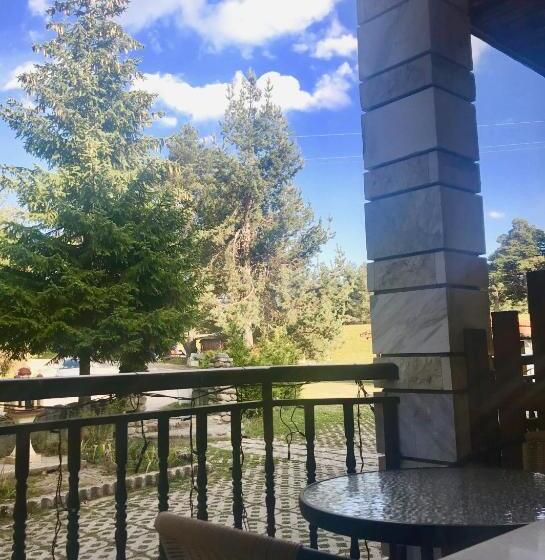 Отель Daf Trans