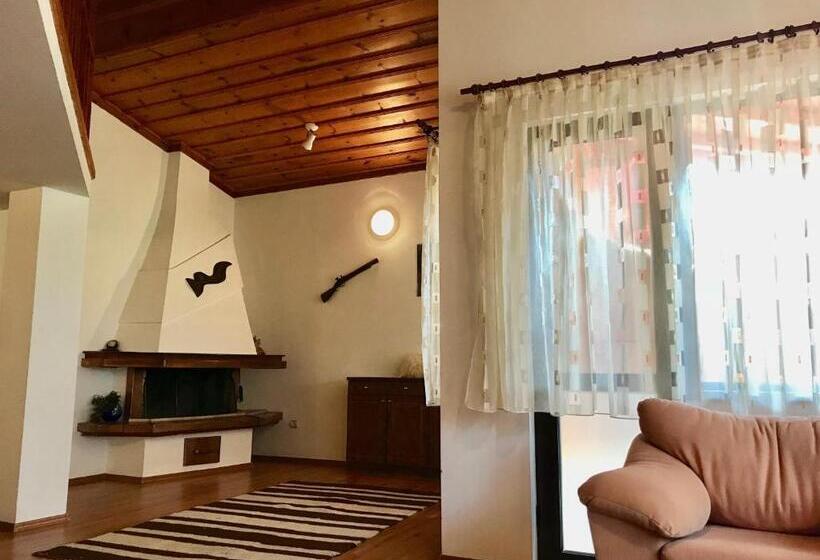 Отель Daf Trans