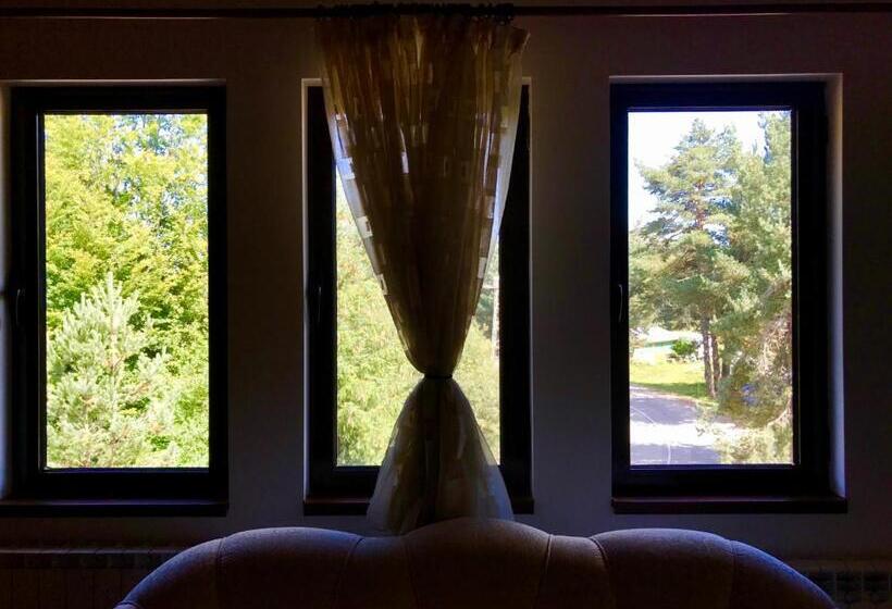 Отель Daf Trans