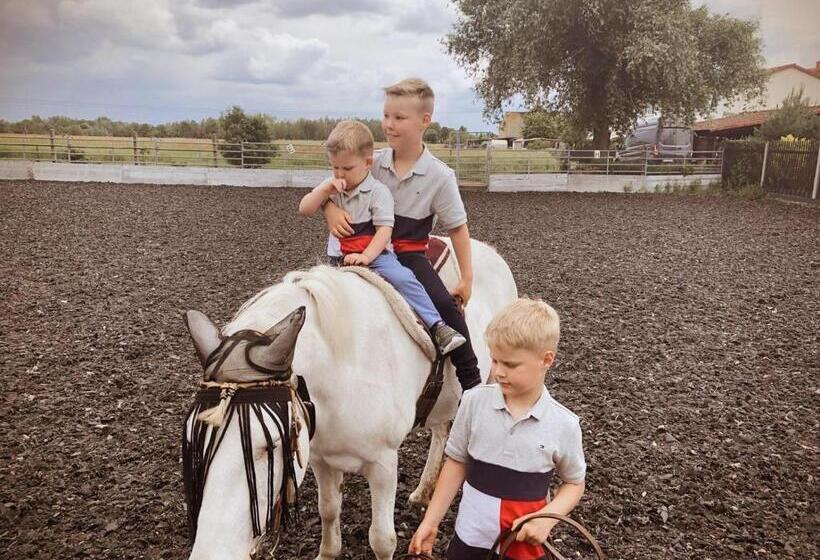 Отель Pferdepension Jäger