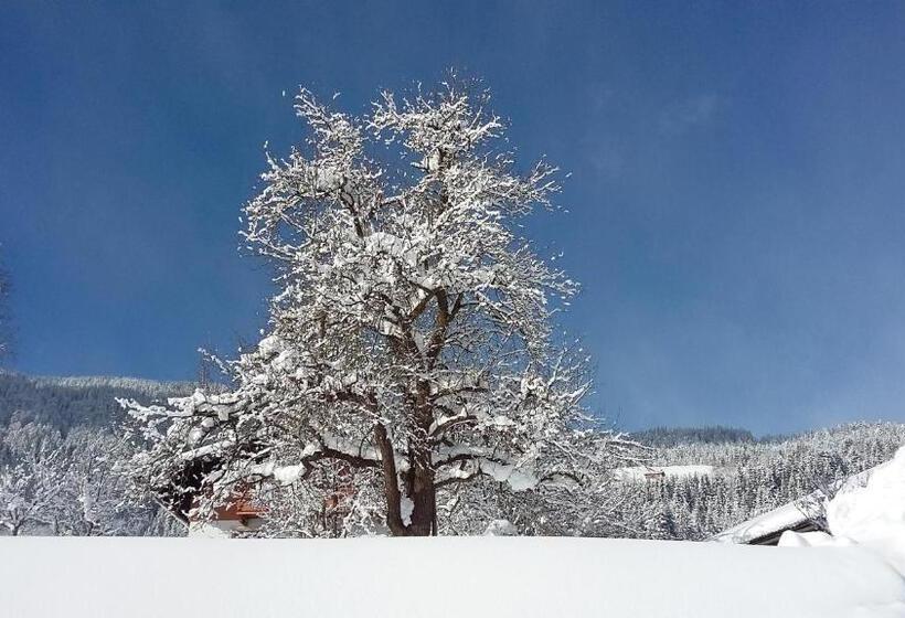 בית מלון כפרי Schartlhof