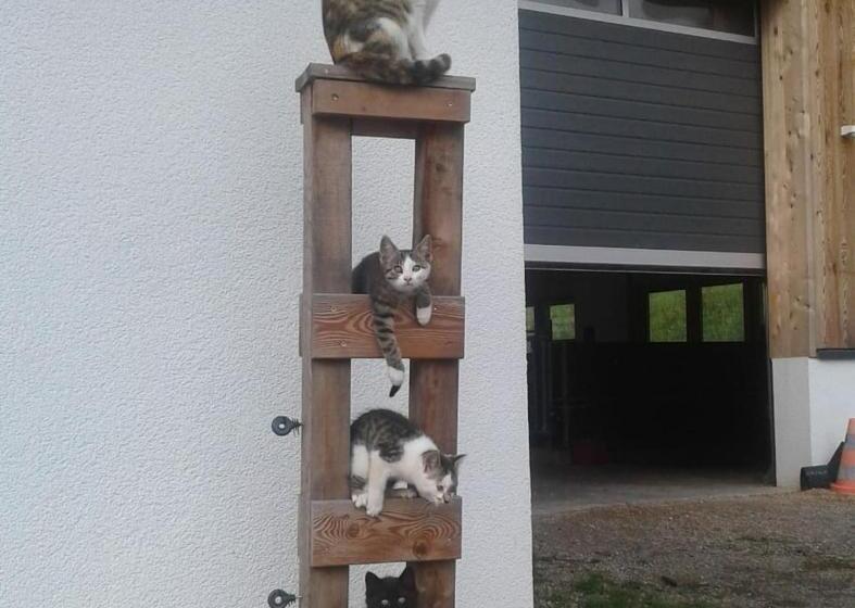 בית מלון כפרי Schartlhof