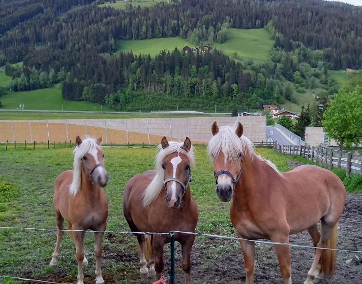 בית מלון כפרי Schartlhof