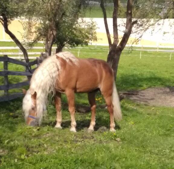 בית מלון כפרי Schartlhof