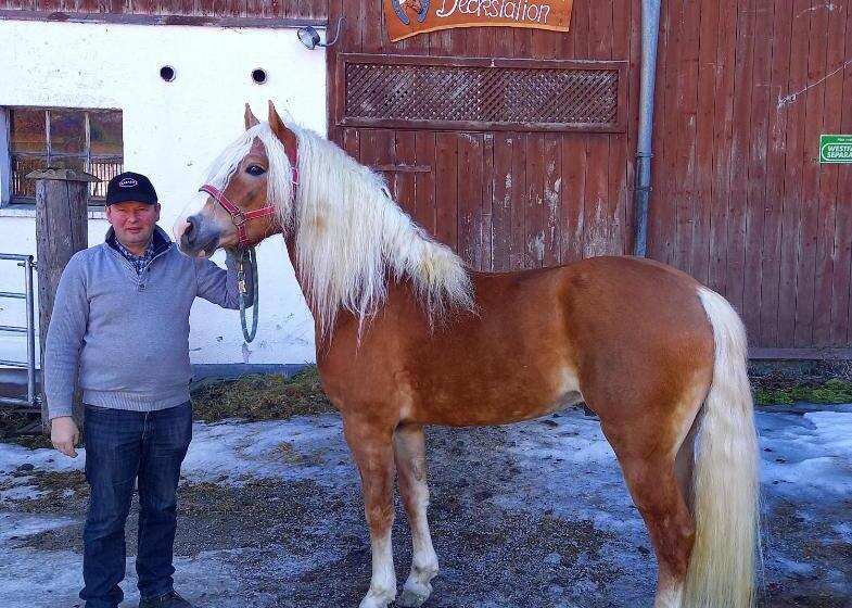 בית מלון כפרי Schartlhof