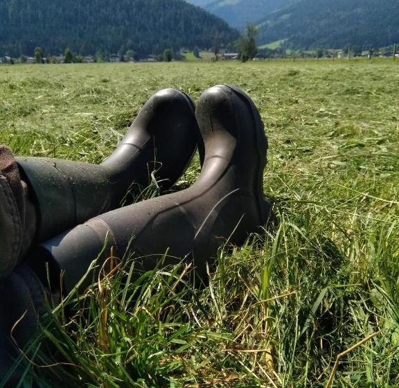 בית מלון כפרי Schartlhof