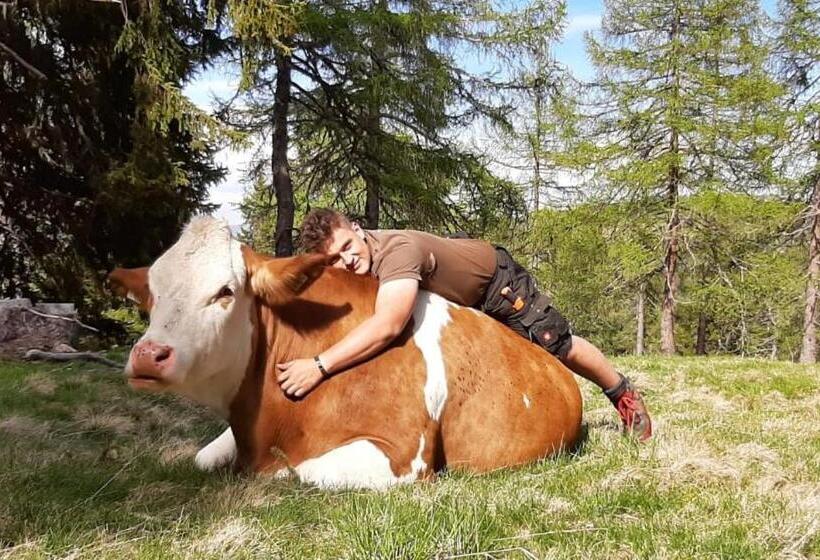 בית מלון כפרי Schartlhof