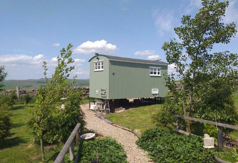 בית מלון כפרי The Buteland Stop Rosie Off Grid Shepherds Hut