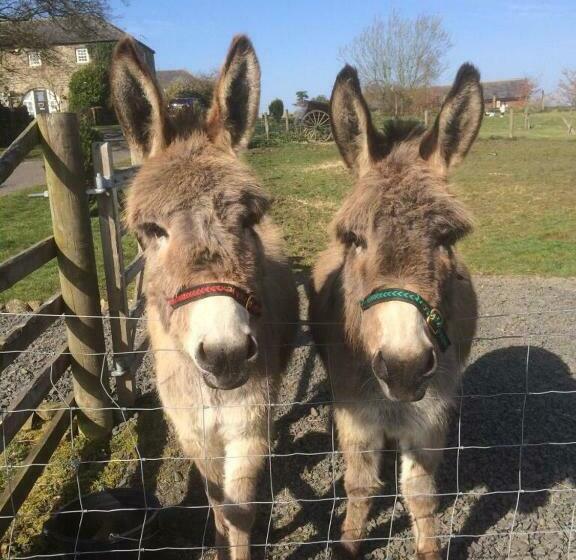 בית מלון כפרי The Buteland Stop Rosie Off Grid Shepherds Hut