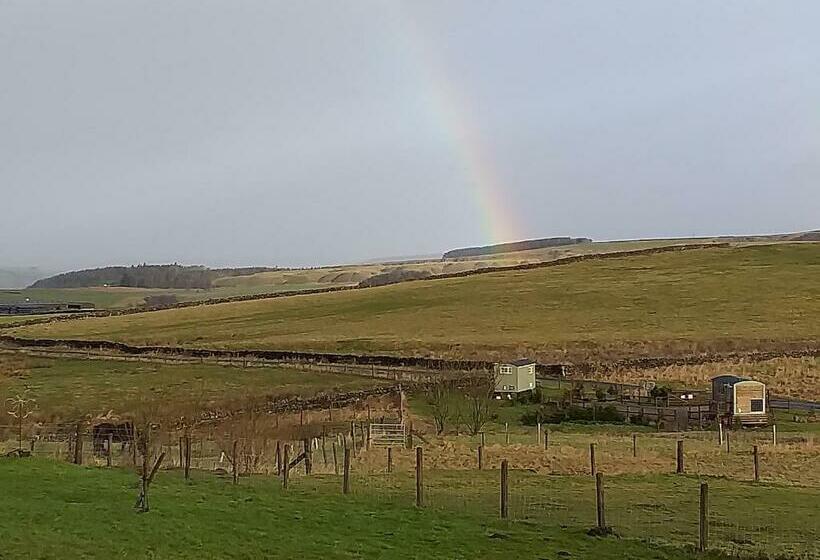 בית מלון כפרי The Buteland Stop Rosie Off Grid Shepherds Hut