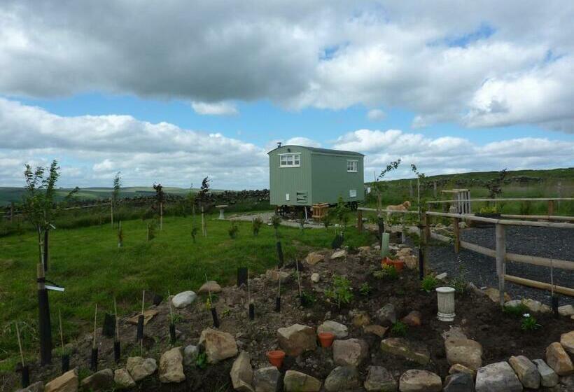 בית מלון כפרי The Buteland Stop Rosie Off Grid Shepherds Hut