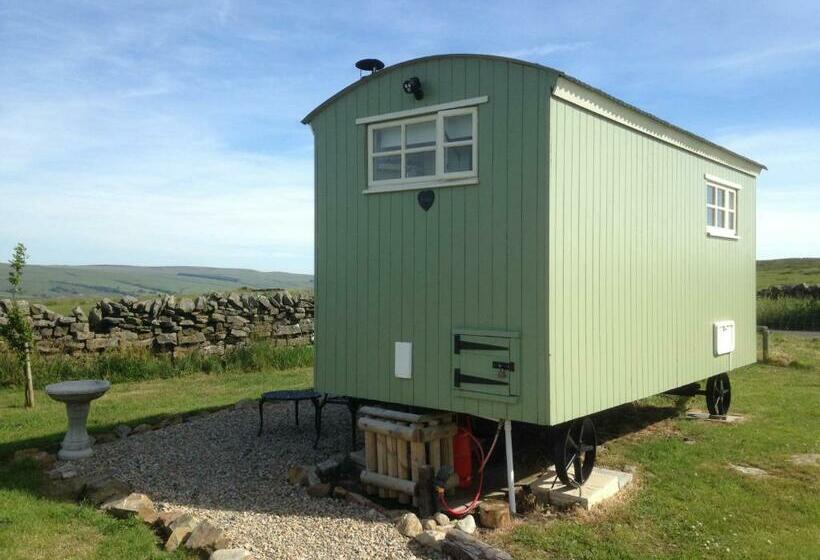 בית מלון כפרי The Buteland Stop Rosie Off Grid Shepherds Hut