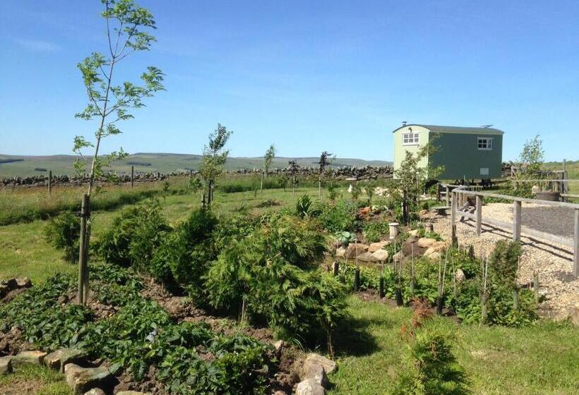 בית מלון כפרי The Buteland Stop Rosie Off Grid Shepherds Hut