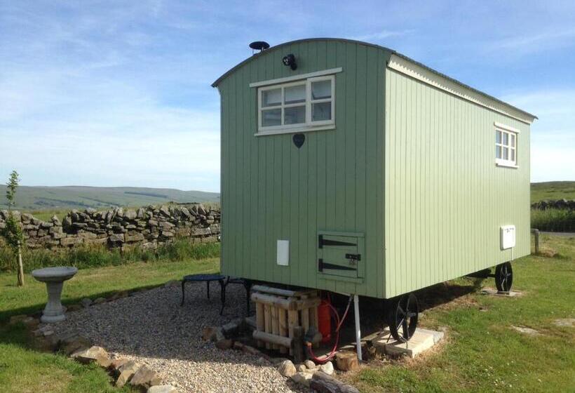 בית מלון כפרי The Buteland Stop Rosie Off Grid Shepherds Hut