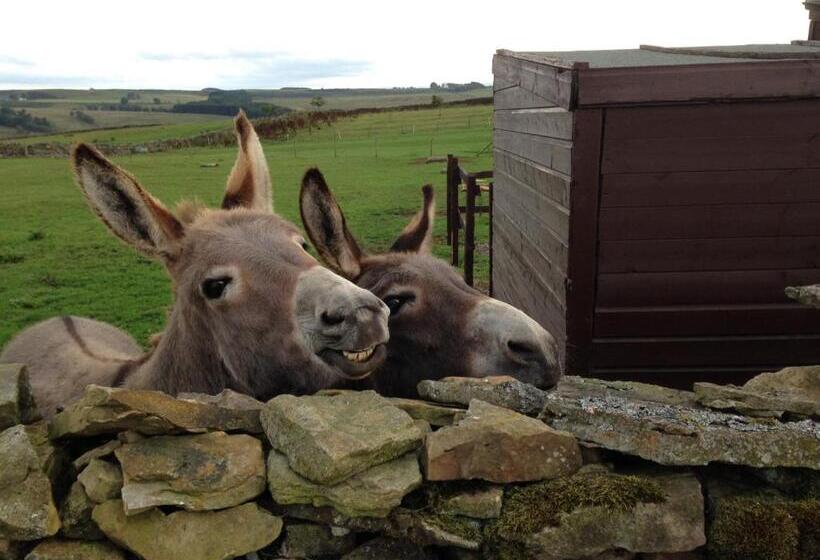 בית מלון כפרי The Buteland Stop Rosie Off Grid Shepherds Hut