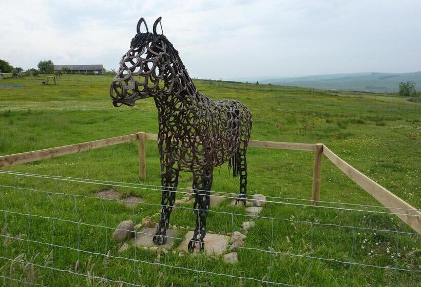 בית מלון כפרי The Buteland Stop Rosie Off Grid Shepherds Hut