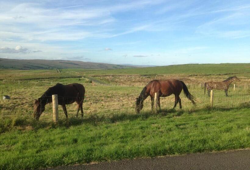 בית מלון כפרי The Buteland Stop Rosie Off Grid Shepherds Hut