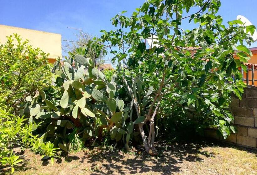 ペンション Aeroporto Bellini Rooms