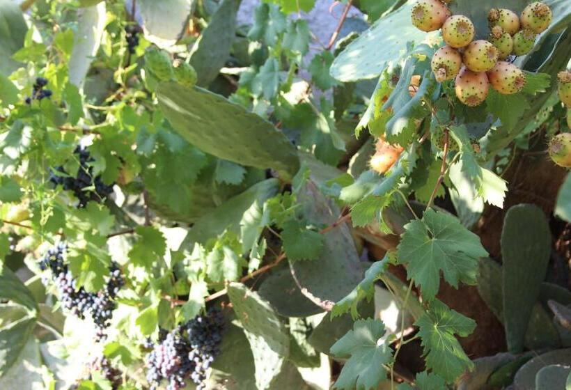 ペンション Aeroporto Bellini Rooms