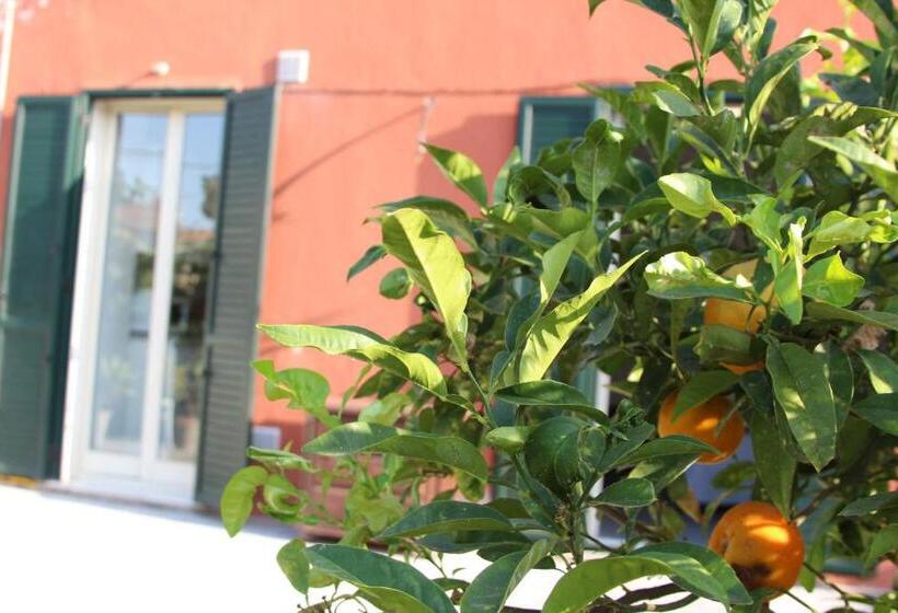 ペンション Aeroporto Bellini Rooms